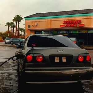 Meet your Posher, Bailey